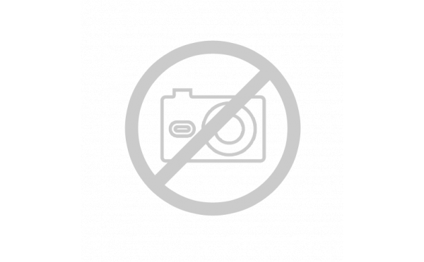 Lavage auto sans eau
